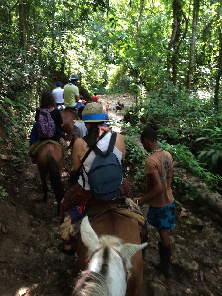 Passeio El Salto del Limón