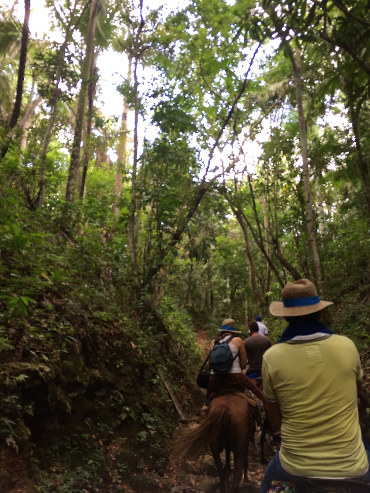 Passeio El Salto del Limón