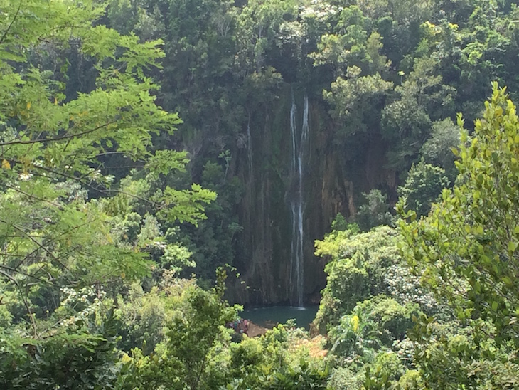 El Salto del Limón