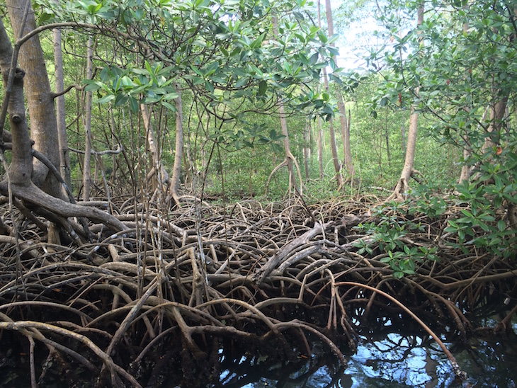 Parque Nacional los Haitises