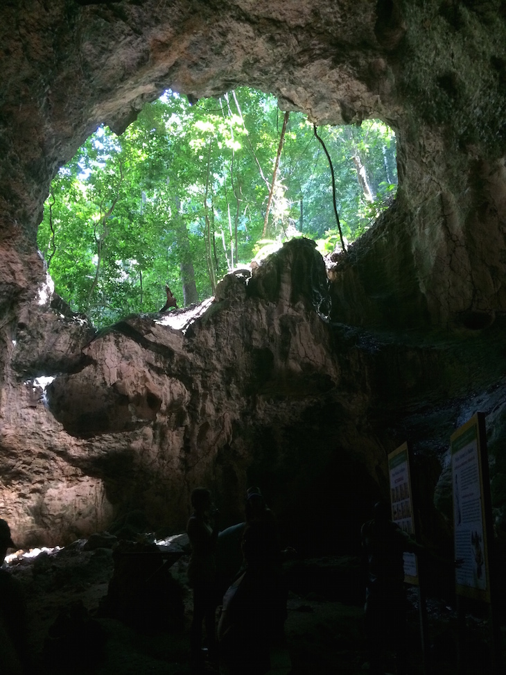 Parque Nacional los Haitises