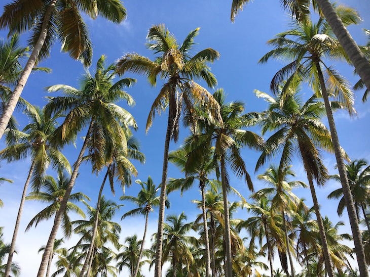 Sublime Samaná, República Dominicana