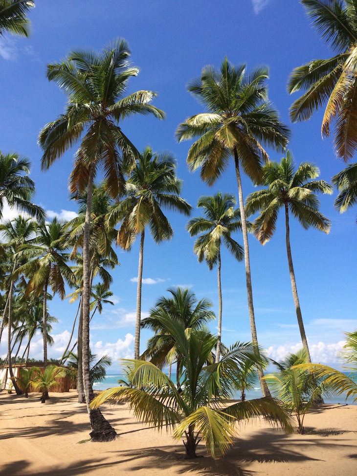 Praia do Sublime Samaná, República Dominicana