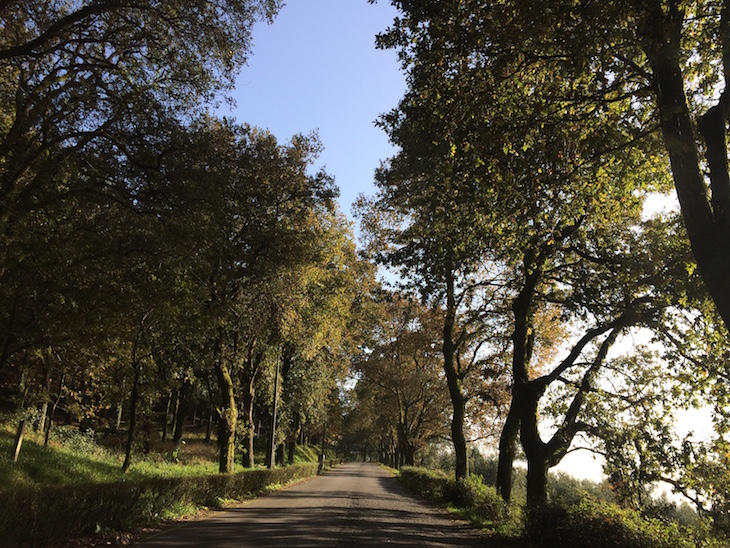 Estrada para o Santuário do Sameiro, Braga, Portugal