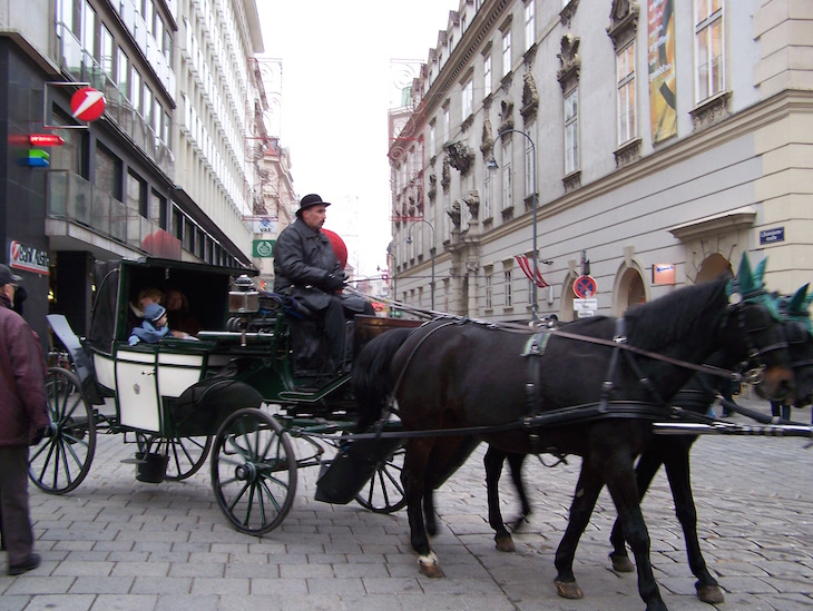 Passeios de charrete no centro de Viena