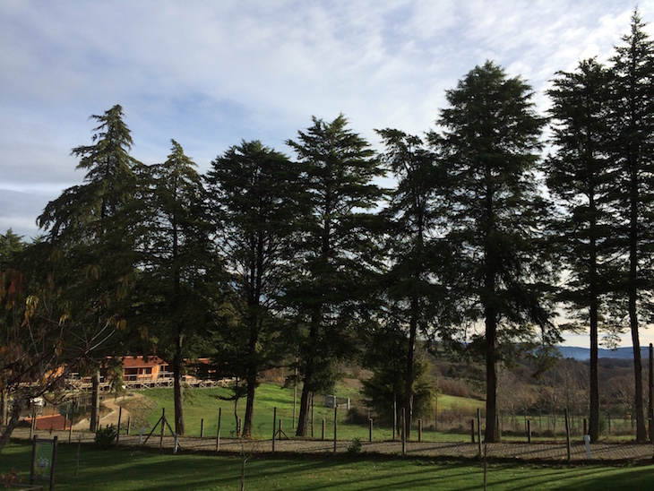 Parque Biológico de Vinhais