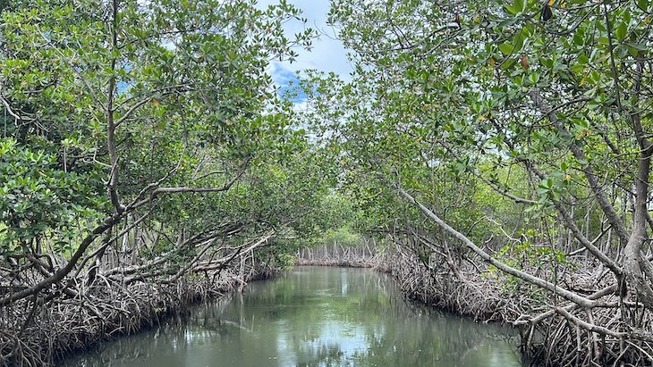 Parque Nacional Lo Haitises - Republica Dominicana © Viaje Comigo