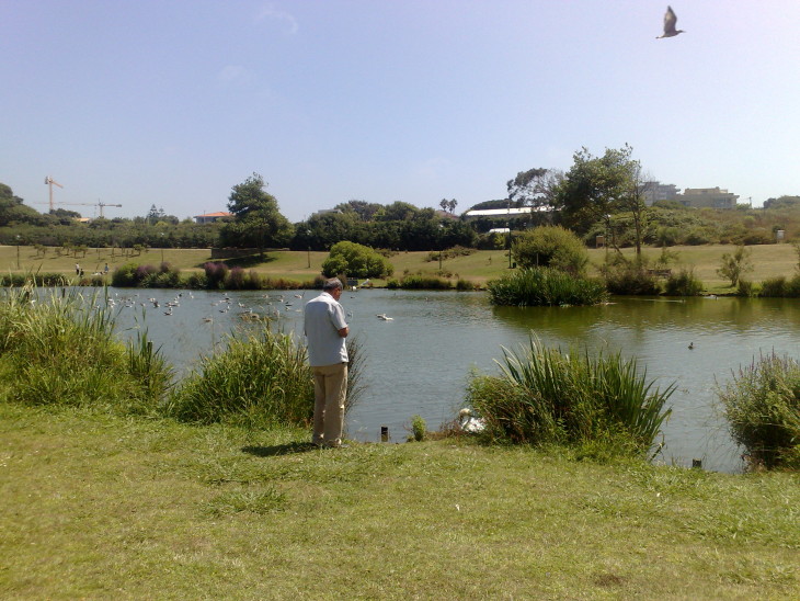 Parque da Cidade do Porto © Viaje Comigo