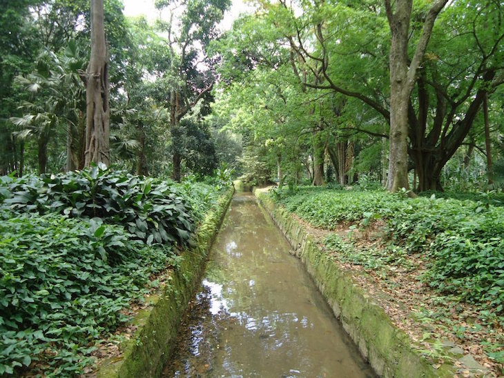 Jardim Botânico- © Alice Barcellos