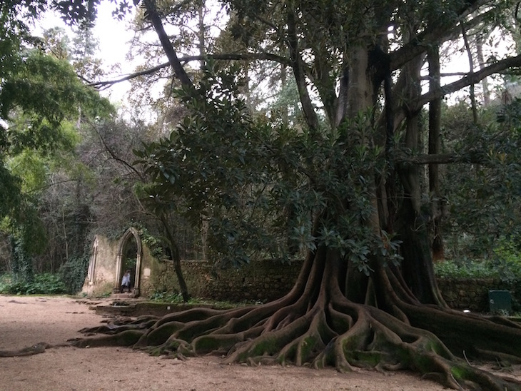 Quinta das Lágrimas, Coimbra © Viaje Comigo