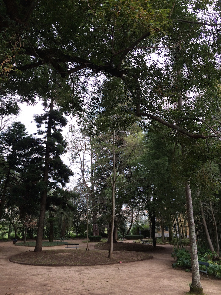 Árvores na Quinta das Lágrimas, Coimbra