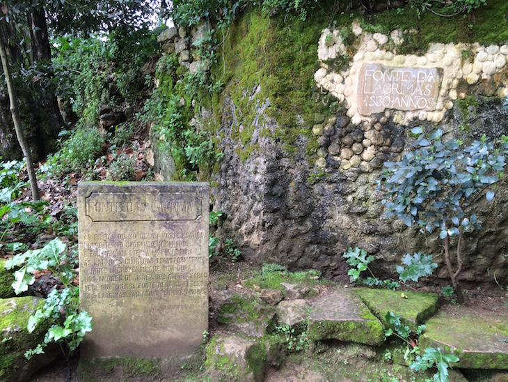 Placa de Camões, Quinta das Lágrimas, Coimbra