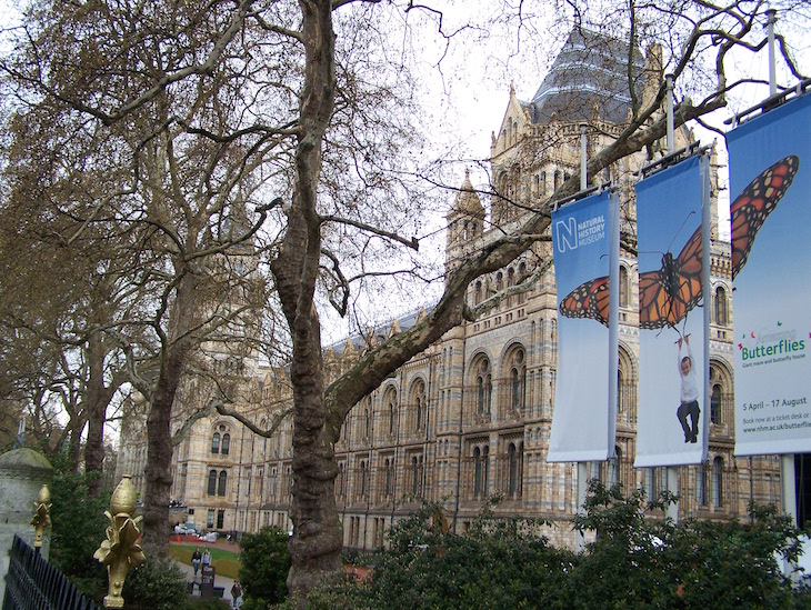 Museu de História Natural de Londres © Viaje Comigo