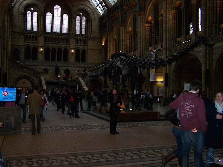 Museu de História Natural de Londres © Viaje Comigo