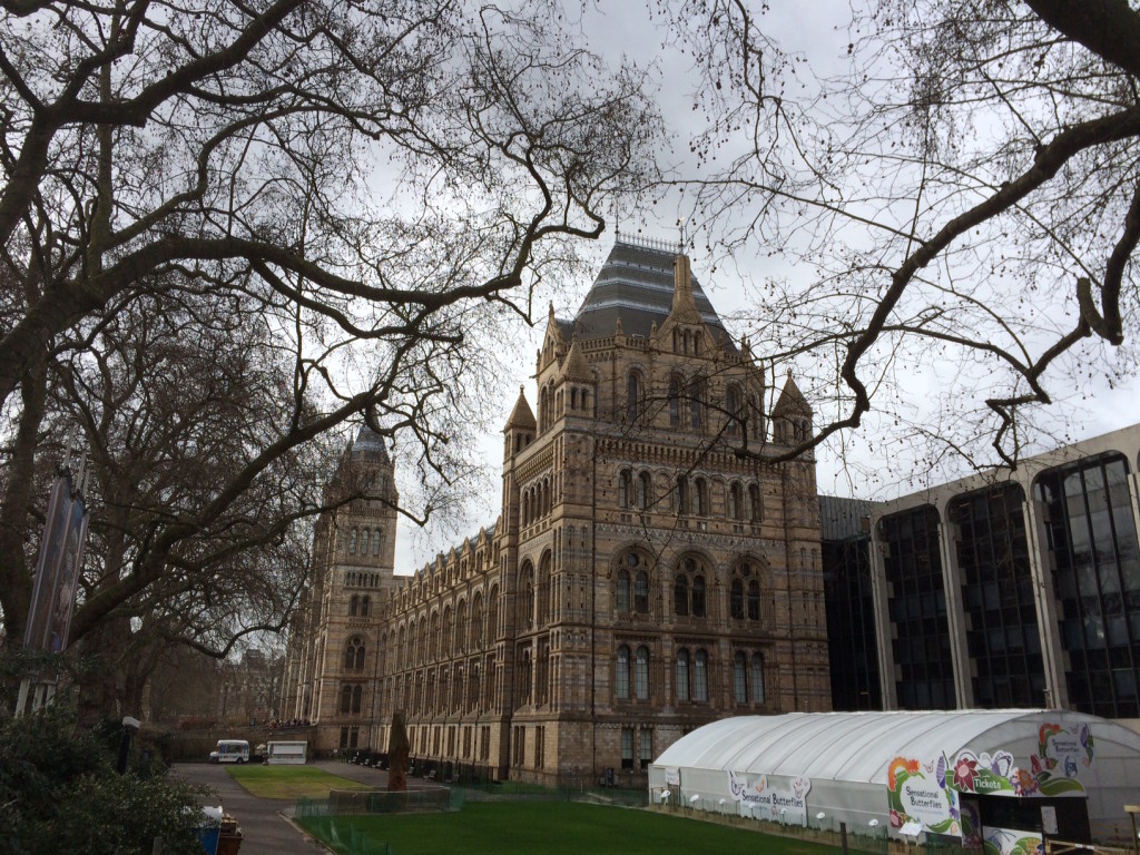 Natural History Museum