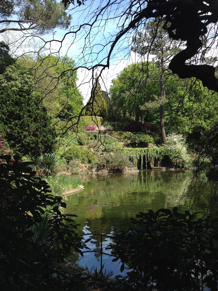 Serralves Lago