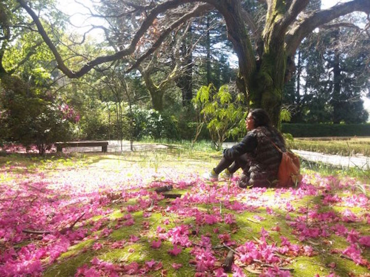 Serralves jardim