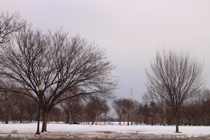 Washington DC © Direitos Reservados