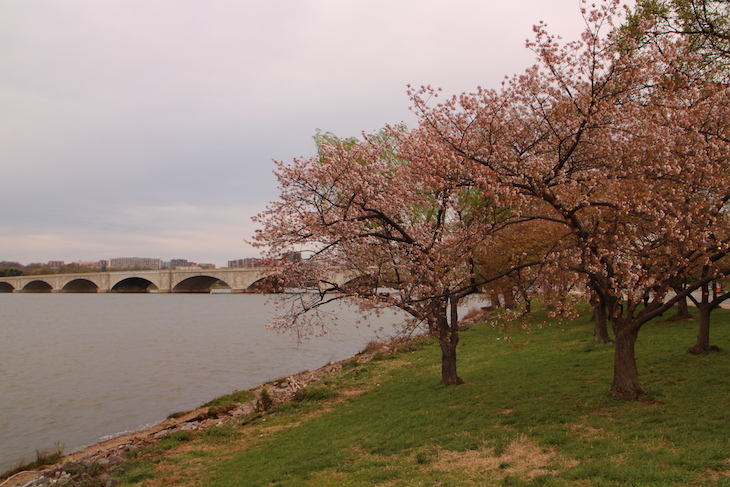 Washington DC © Direitos Reservados