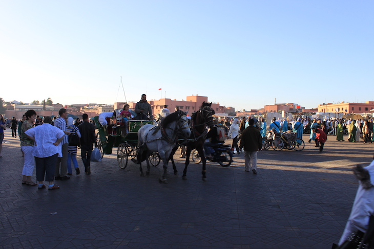 Caleche na Djemaa El Fna, Marraquexe