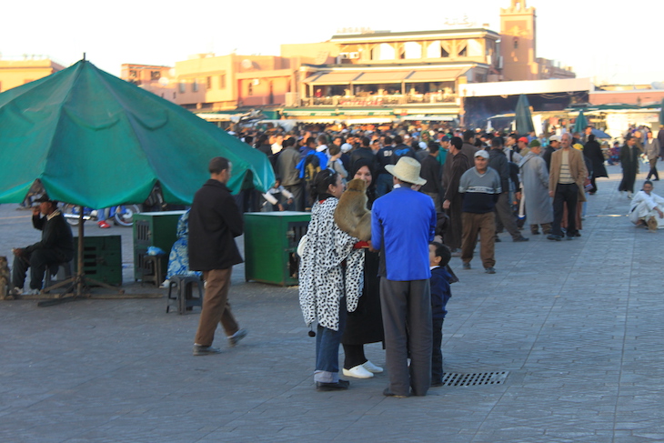 Macacos na Praça Djemaa El Fna, Marraquexe