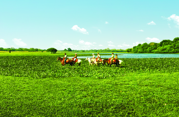 Ecoturismo - Cavalgada no Pantanal. Crédito: Embratur