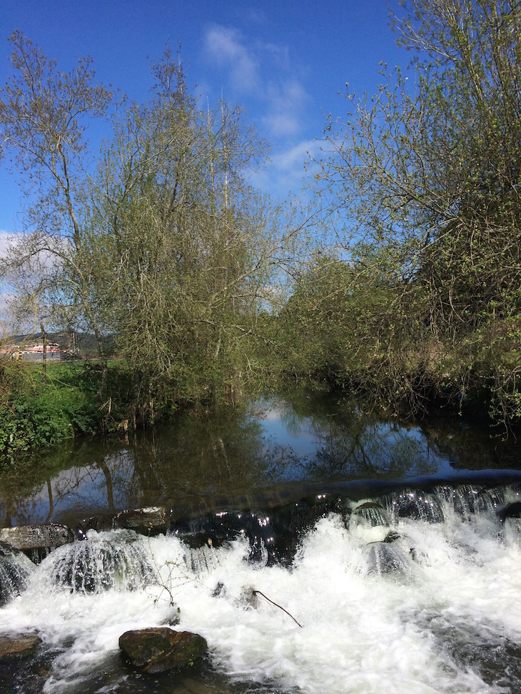 Passeio com a Quinta das Arcas - Rio Ferreira