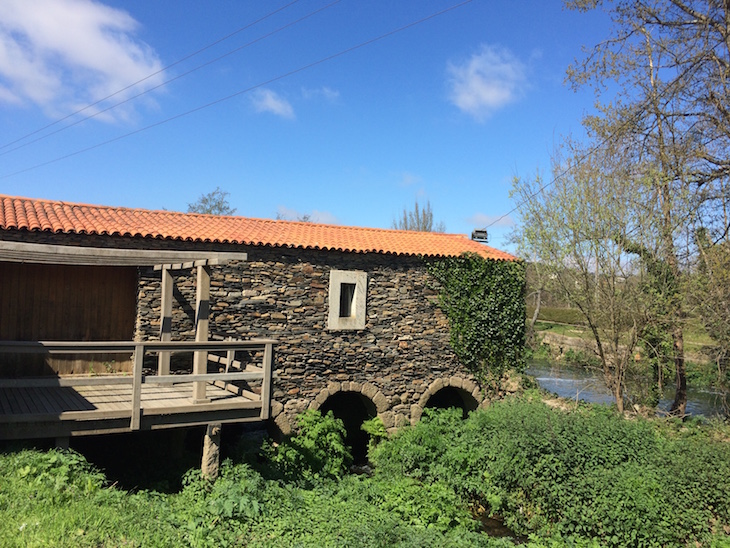 Centro de Panificação - Passeio com a Quinta das Arcas