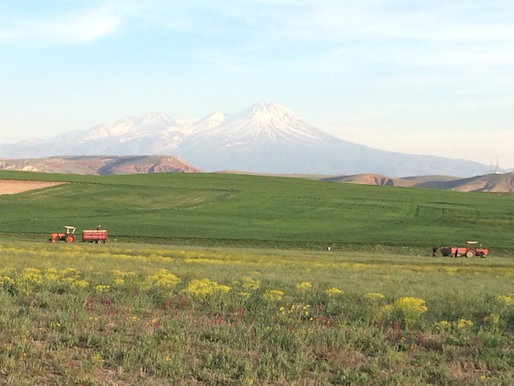 Paisagens no interior da Turquia ©Viaje Comigo