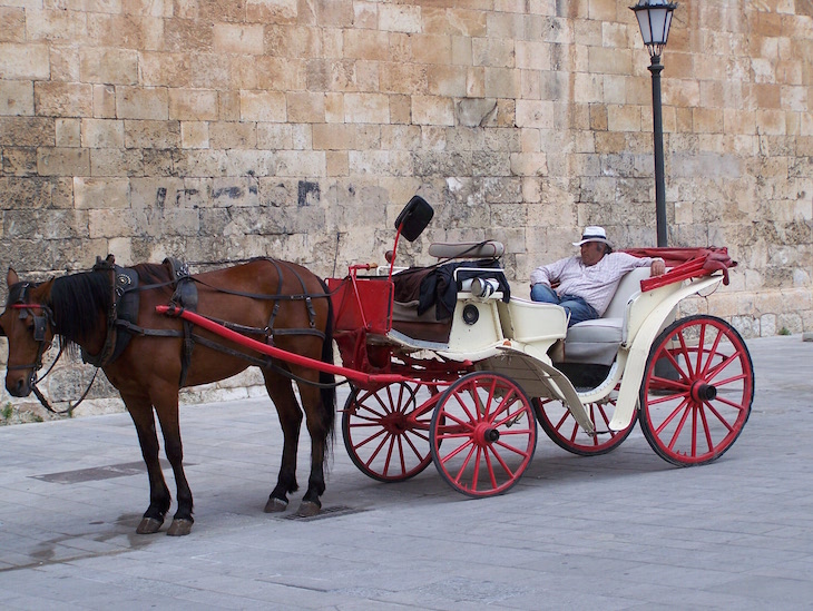 Cavalo em Palma de Maiorca