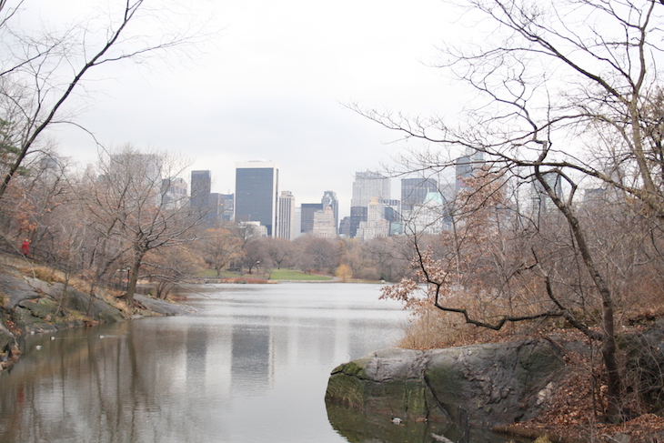 Central Park - Nova Iorque © Viaje Comigo