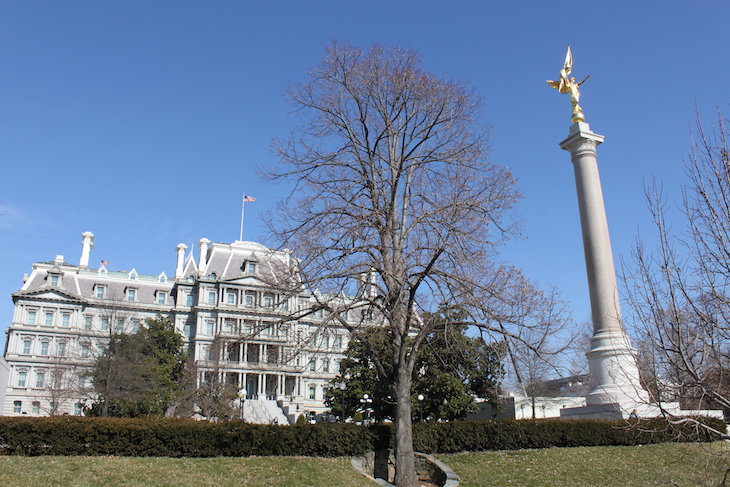 Em Washington DC © Viaje Comigo