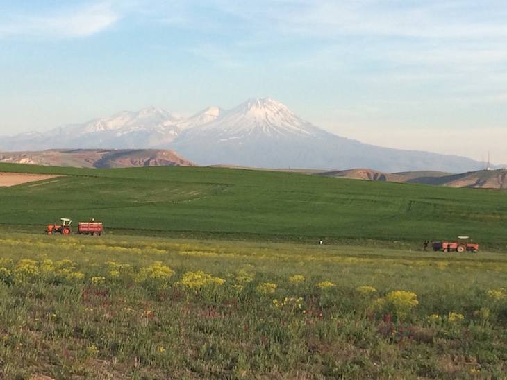 Em viagem na Turquia © Viaje Comigo