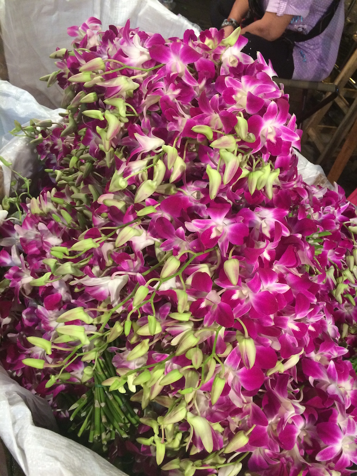 Orquídeas no Mercado das Flores, Banguecoque © Viaje Comigo