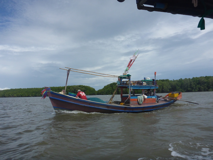 Apanha de hok pai ped, Trat, Tailândia © Viaje Comigo