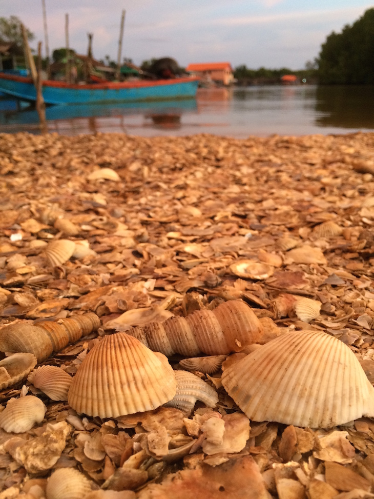Conchas na praia junto do TewThara Restaurant © Viaje Comigo