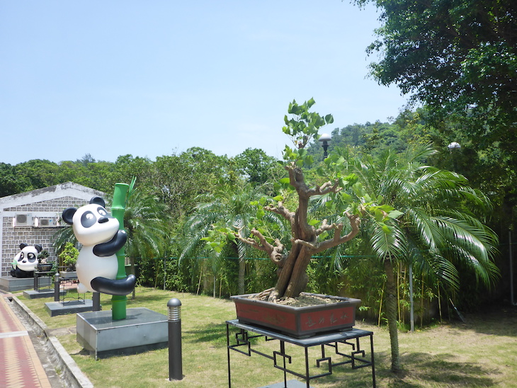 Jardins do Pavilhão do Panda Gigante de Macau © Viaje Comigo