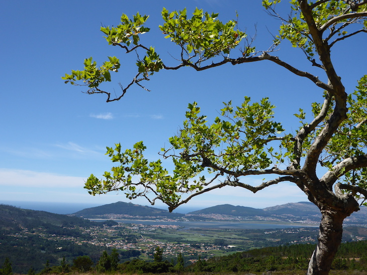 Miradouro de Santo Antão, Caminha @ Viaje Comigo