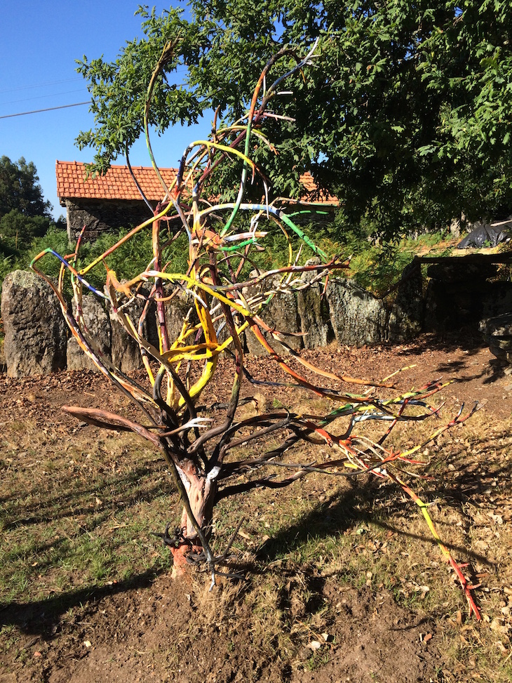 Pablo Vasquez Garcia , Arte na Leira 2015 © Viaje Comigo