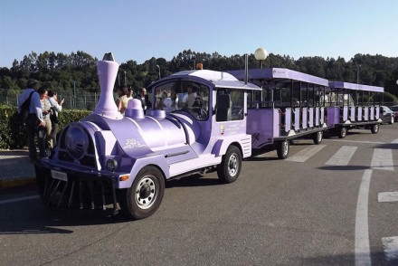 Trem turístico entre Minho e Gaiiza - Direitos Reservados CM Monção