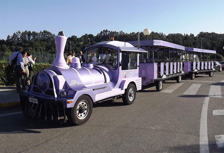 Trem turístico entre Minho e Gaiiza - Direitos Reservados CM Monção