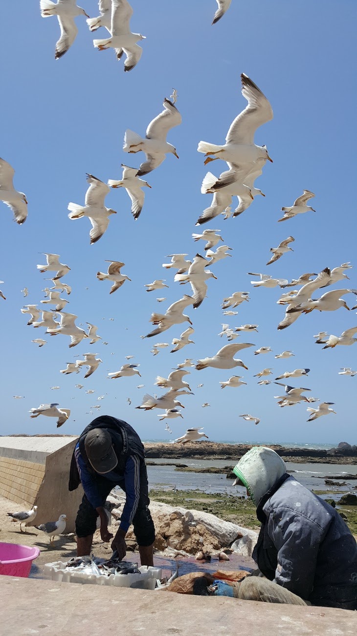 Porto de pesca de Essaouira, Marrocos © Viaje Comigo