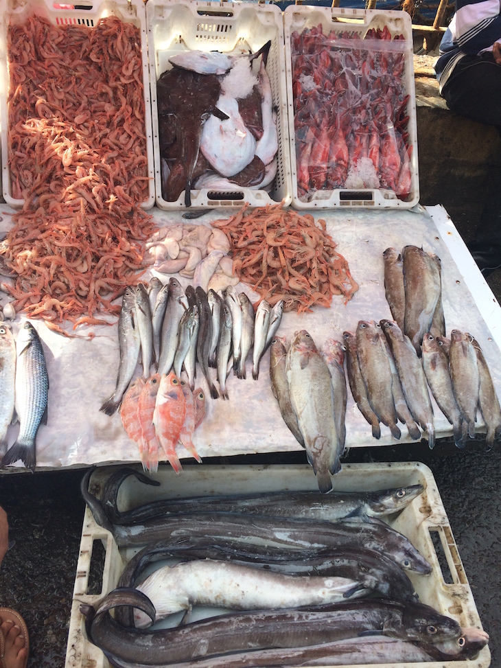 Peixes no Porto de pesca de Essaouira, Marrocos © Viaje Comigo