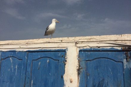 Porto de pesca de Essaouira © Viaje Comigo