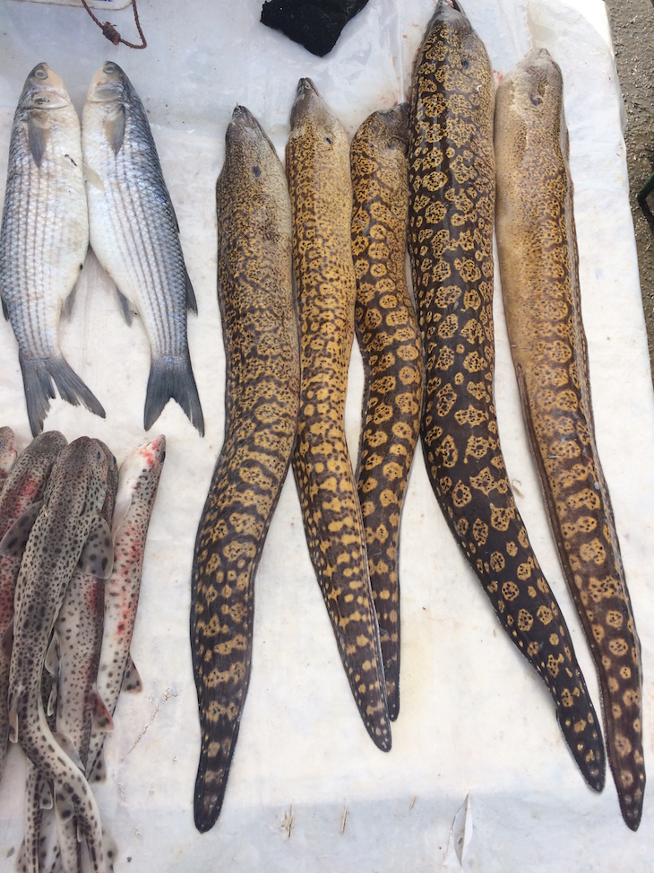 Porto de pesca de Essaouira, Marrocos © Viaje Comigo