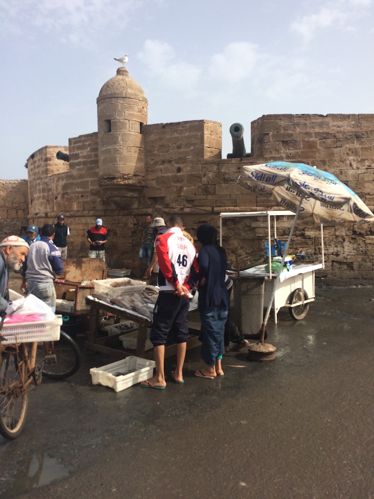 Compras no Porto de pesca de Essaouira, Marrocos © Viaje Comigo