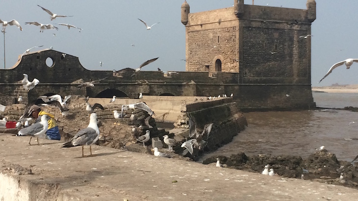 Porto de pesca de Essaouira, Marrocos © Viaje Comigo