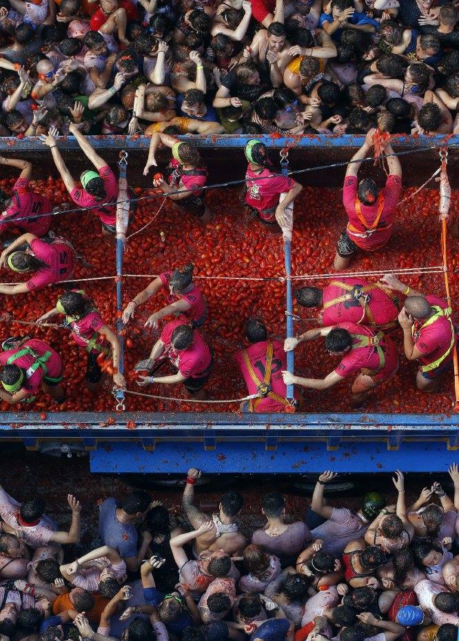 La Tomatina - Direitos Reservados: Purple Nest Hostel 2015