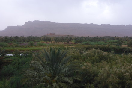 Vale do Draa, Marrocos © Viaje Comigo