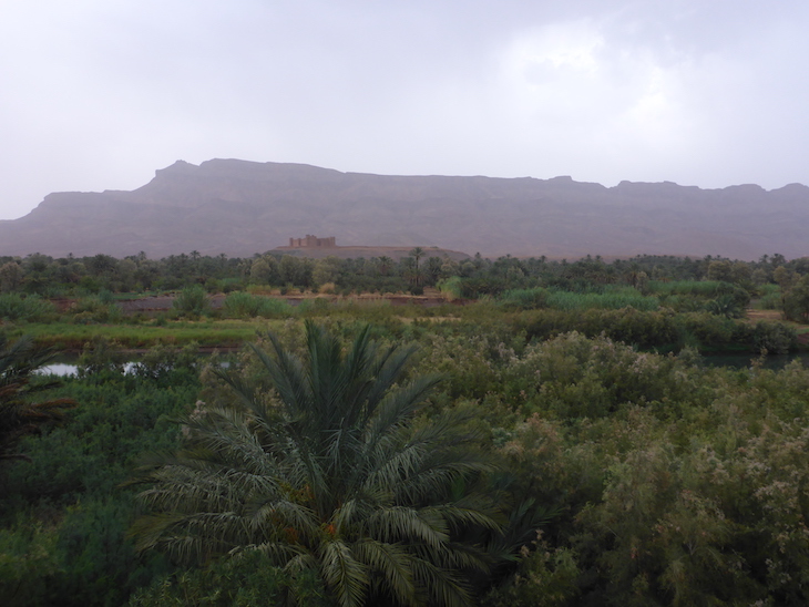 Vale do Draa, Marrocos © Viaje Comigo